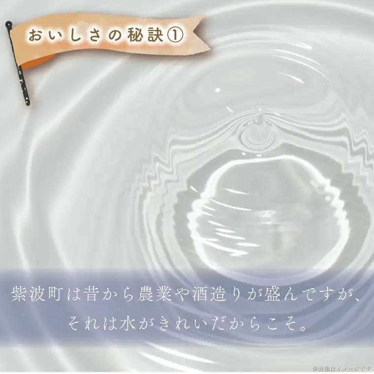 【定期便 2ヵ月】令和7年産 特別栽培米 ひとめぼれ 5kg 白米 定期便 AD046