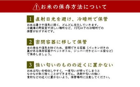令和6年産【美人米】玄米10kg 【千葉県神崎町産】[002-a002]【精米 無洗米 米俵 コシヒカリ】