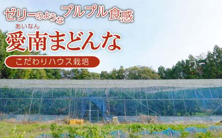 【紅まどんなと同品種】【訳あり】 まどんな 5kg