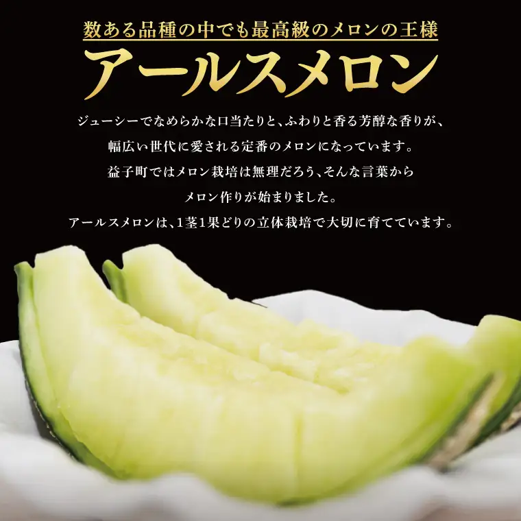 アールスメロン 1玉 益子町 AA040