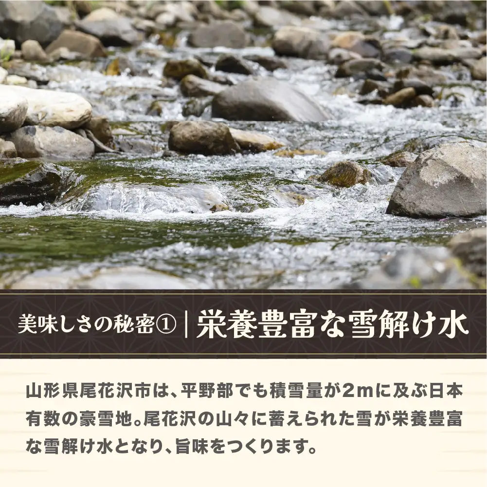 新米 令和8年産 精米 雪若丸 20kg ja-ywsxb20
