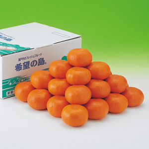 【2026年11月下旬頃から順次発送】【みかん】 温州みかん 5kg | 愛媛県松山市【FT104】