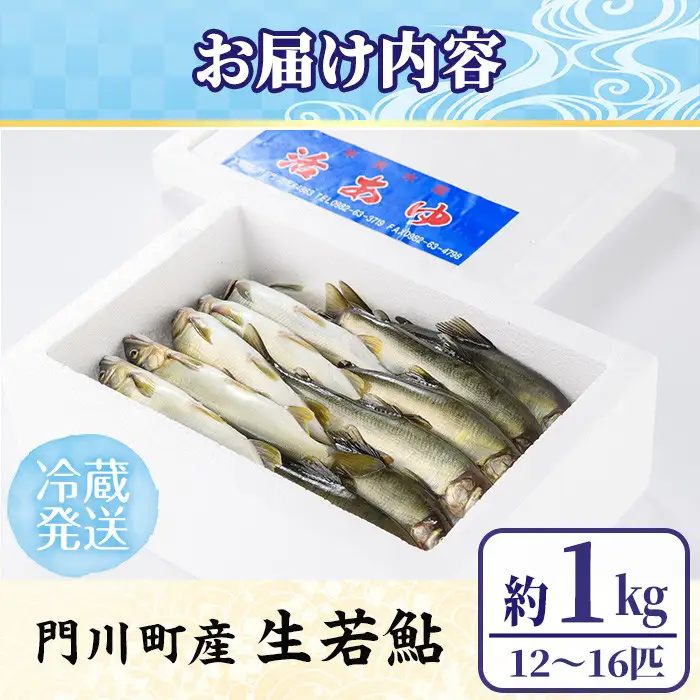 【北海道・離島配送不可】生若鮎(約1kg・12～16匹) 冷蔵 生き〆 国産 川魚 養殖  【ME-01】【米良水産】