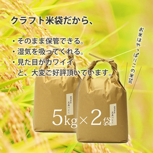 福岡県産【特A】評価のお米「元気つくし」5kg×2袋[10kg][玄米]【059-0068】