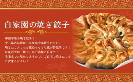 【全12回定期便】【詰め合わせ】ぶたまん20個×焼餃子10個×焼小籠包8個 ／ 中華 点心 惣菜 豚まん ぎょうざ セット 詰め合わせ 長崎県 長崎市