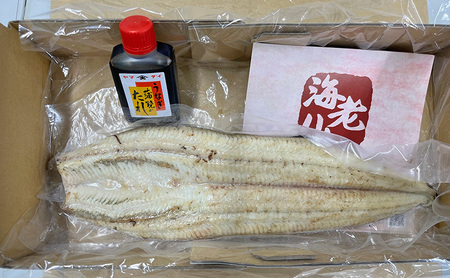 うなぎ 訳アリ 浜名湖 白焼 1本 250g ビッグサイズ 浜松 うなぎ