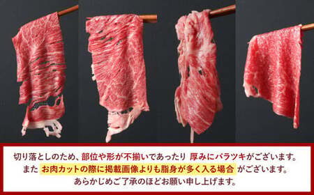 博多和牛 赤身のみ 上質 切り落とし 合計800g  和牛 牛肉 牛 肉 お肉 赤身 赤身肉 国産