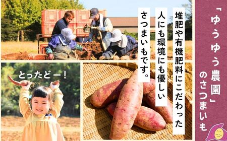 【訳あり：簡易包装】ゆうゆう農園の丸干し芋  紅はるか 1kg | 丸干し さつまいも 茨城県 龍ケ崎市