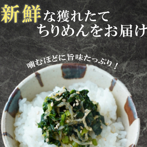 訳あり ちりめんじゃこ 100g 冷凍 ちりめん じゃこ
