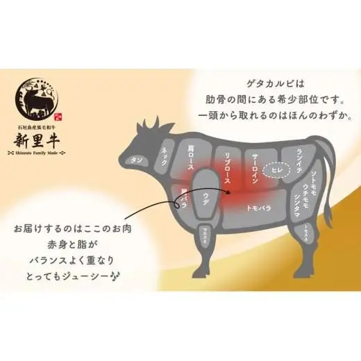 石垣島産 黒毛和牛 新里牛 中落ちゲタカルビ（200g×2）　SZ-26