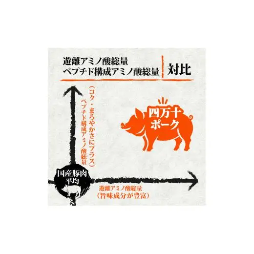 【 豚肉 】 豚肉定期便 全12回 計18kg （1.5kg×12ヶ月)