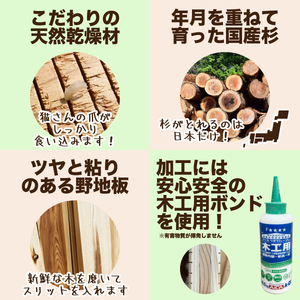 【猫用爪とぎ】本能の爪とぎ 平置き S サイズ | 猫 爪とぎ