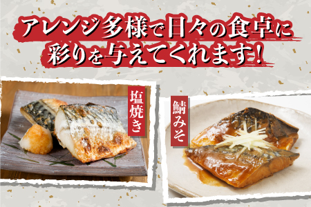 サバエのサバ！鯖 骨なし 無塩 冷凍切り身 600g　魚 海鮮