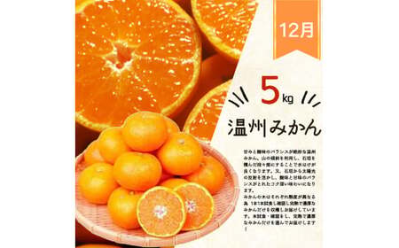【全3回】紀州和歌山産旬のフルーツセット(巨峰・ひらたね・みかん)  / 果物定期便 フルーツ定期便 みかん オレンジ 柑橘 くだもの 果物 かき カキ ぶどう 巨峰 【tkb397】