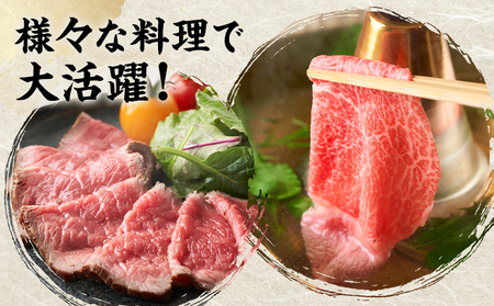 味彩牛 モモ・ウデ・肩ロース スライス 1.5kg 1パック 500g のぐち産業株式会社《90日以内に出荷予定(土日祝除く)》熊本県 菊池市 牛肉 スライス済み 肩ロース お肉 精肉 熊本県産 九州産 国産 冷凍 送料無料