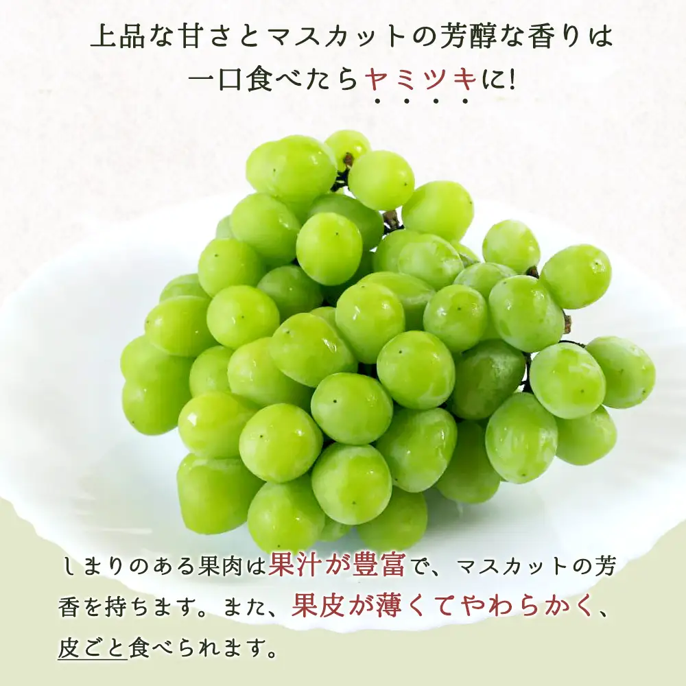 【全3回】紀州和歌山産旬のフルーツセット(スイカ・バレンシア・シャイン)/ 果物定期便 フルーツ定期便 バレンシア オレンジ 柑橘 くだもの 果物 すいか スイカ シャインマスカット 【tkb395】