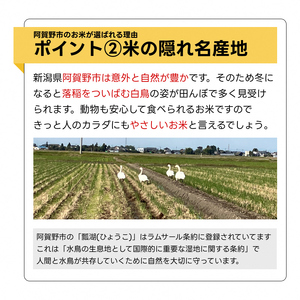 【令和7年産】6ヶ月定期便 特別栽培米 新之助 4㎏（2kg×2袋）×6回 米杜氏 壱成 白米 精米 大粒 つや 光沢 弾力 芳醇  新潟県 米 こめ コメ 1H43091