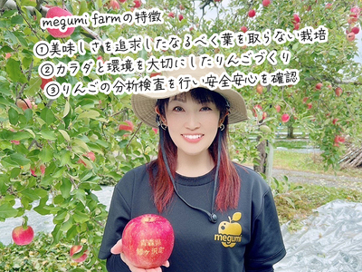 りんご サンふじ 訳あり 家庭用 高糖度 青森県産 りんご【約5kg】
