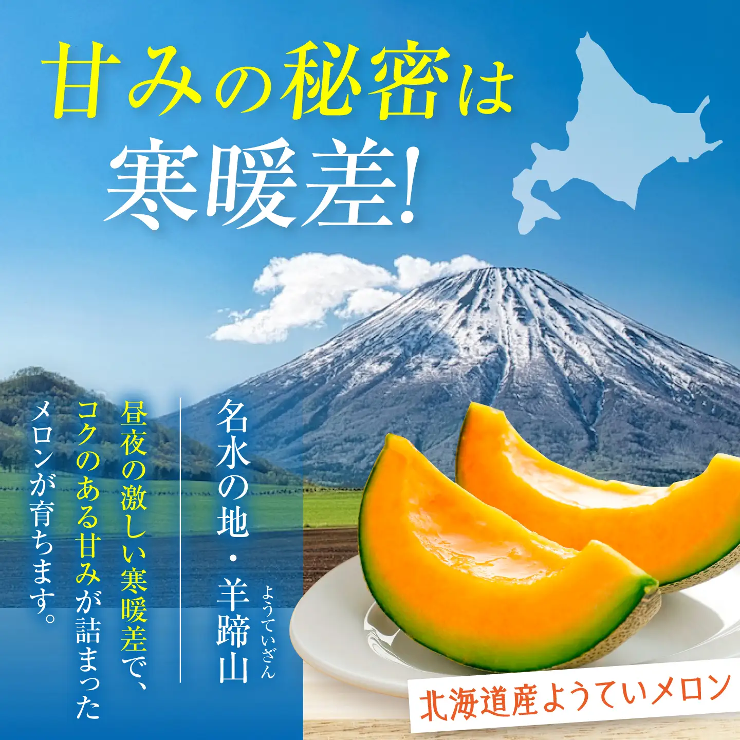【先行予約】赤肉メロン 1玉 [AJAK023] メロン 夏