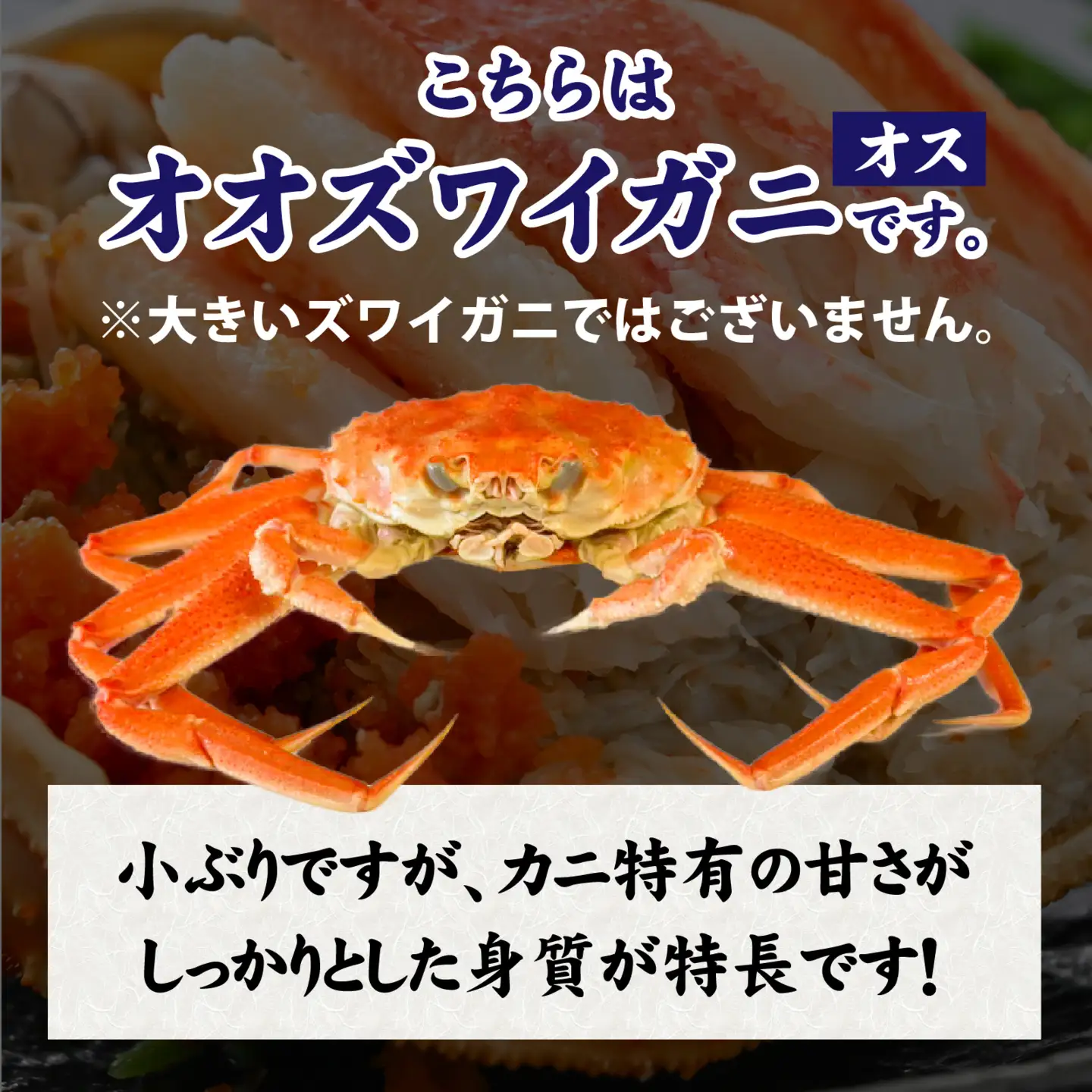 【訳あり】釜茹で　蟹好き集まれ！オオズワイガニオス 甲羅盛 【甲羅盛95g前後 】[A-096018] / 蟹
