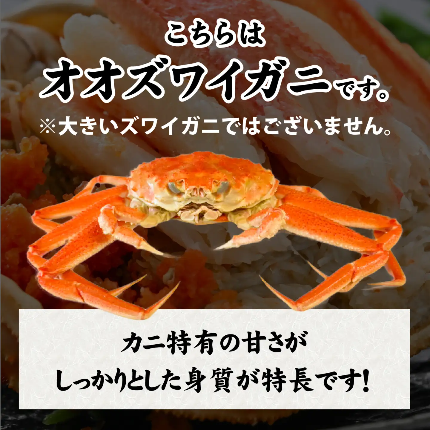 【訳あり】釜茹で　蟹好き集まれ！オオズワイガニ 甲羅盛 【甲羅盛合計280ｇおまかせセット 】[A-096019]  / ズワイガニ