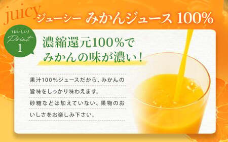 【9回定期便】 ジューシー みかんジュース 100％ （学給） 125ml×36本 みかん ミカン 蜜柑 ジュース オレンジジュース 飲料 紙パック 国産 熊本県