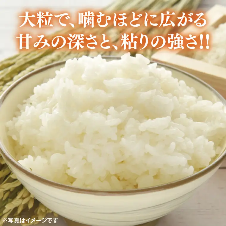 【全12回定期便】＜毎月＞ ★先行予約 10月より順次発送予定★ 山﨑観光農園のお米 ゆうだい21 白米 5kg（合計 60kg）｜栃木県 益子町 ふるさと納税 お米 ゆうだい21 白米 精米 5kg 高評価 令和7年産 先行予約 定期便 (AU019)