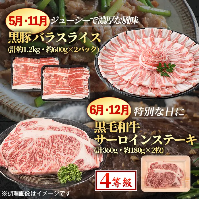 ＜定期便・計12回(連続)＞ 鹿児島県産 黒毛和牛 黒豚 定期便 総計 約10.7kg 以上 【スターゼン】 i1008