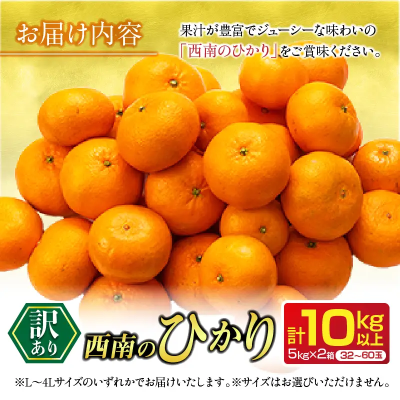 年内お届け 先行予約 訳あり みかん 西南のひかり 10kg 希少 2026 12月発送_DA87-26