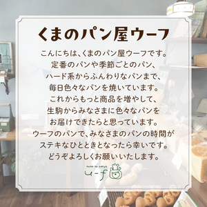 くまぱんセット　～くまぱんのおすすめパン～　パン くまぱん  くまパン クロワッサン メロンパン クルミ カシューナッツ レーズン バゲット 角食パン くまのパン屋ウーフ おすすめ 防災 備蓄 奈良県 生駒市 送料無料