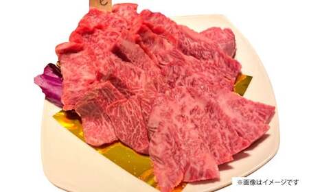 博多和牛 上カルビ 約500g（約250g×2パック） カルビ 上カルビ 牛肉 肉 博多和牛 付けダレ 冷凍 福岡県産
