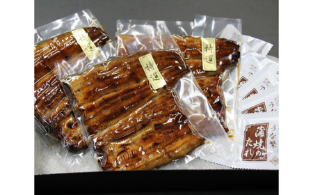 【定期便】全６回コース　蒲焼割烹うな繁　特選国産うなぎ蒲焼真空パック３人前