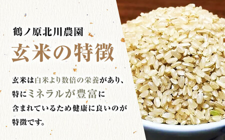 栽培期間中農薬不使用 令和7年産米 ゆうだい21 玄米 20kg/鶴ノ原北川農園[UDL026] 米 玄米