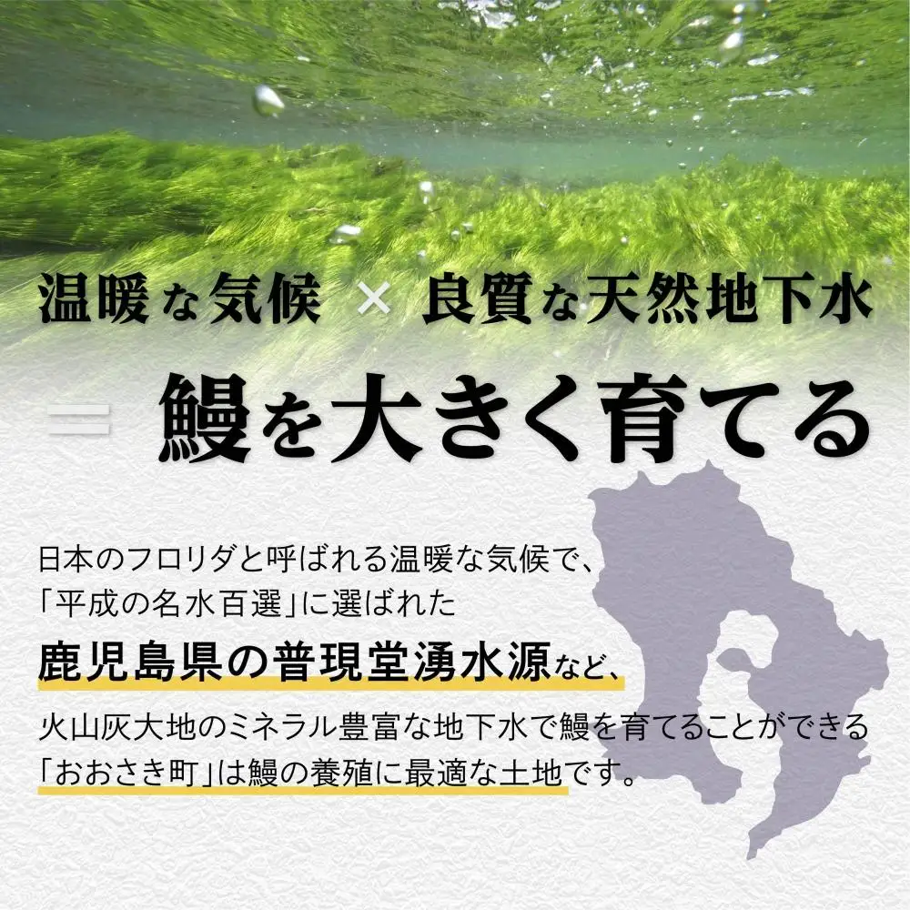 鹿児島県産 うなぎ の肝 山椒煮 75g×8袋（計600g）| 国産 うなぎ 鰻 蒲焼 かばやき 魚 魚介 魚貝 海鮮 うな重 ひつまぶし ギフト 人気 おすすめ 鹿児島県 大崎町 大隅半島 