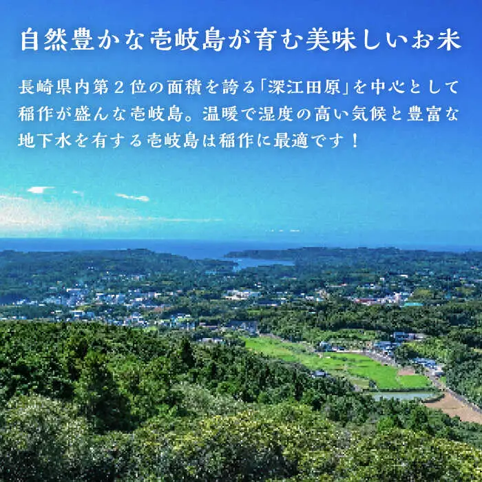 壱岐産米 こしひかり 10kg 《壱岐市》【壱岐市農業協同組合】[JBO145]