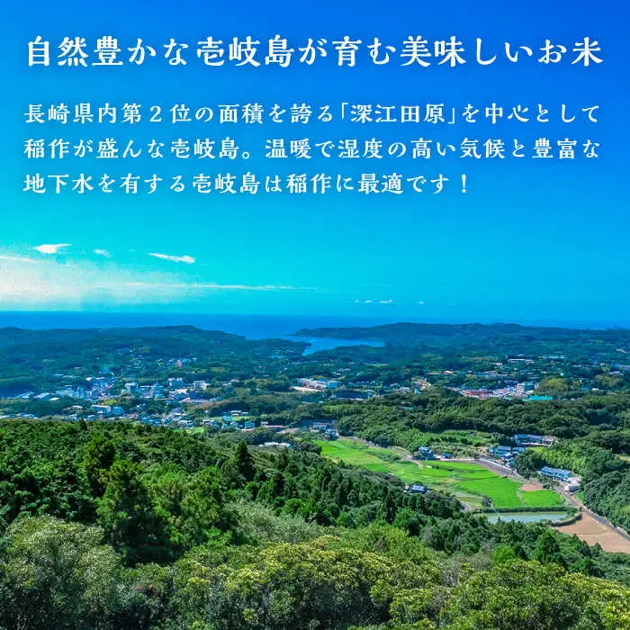 壱岐産 こしひかり 5kg《壱岐市》【壱岐市農業協同組合】[JBO147] 米 お米