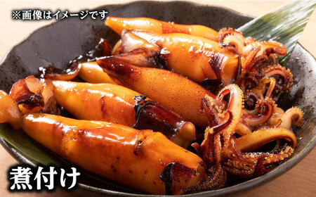 対馬産 ヤリイカ 3杯 [WCN004]新鮮 冷凍発送 やりいか 刺身 海鮮