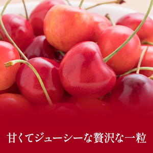 さくらんぼ 600g 佐藤錦 サクランボ