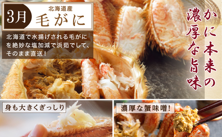 厚岸旬のふるさとセット　年5回お届け 毛蟹 北海しまえび さんま