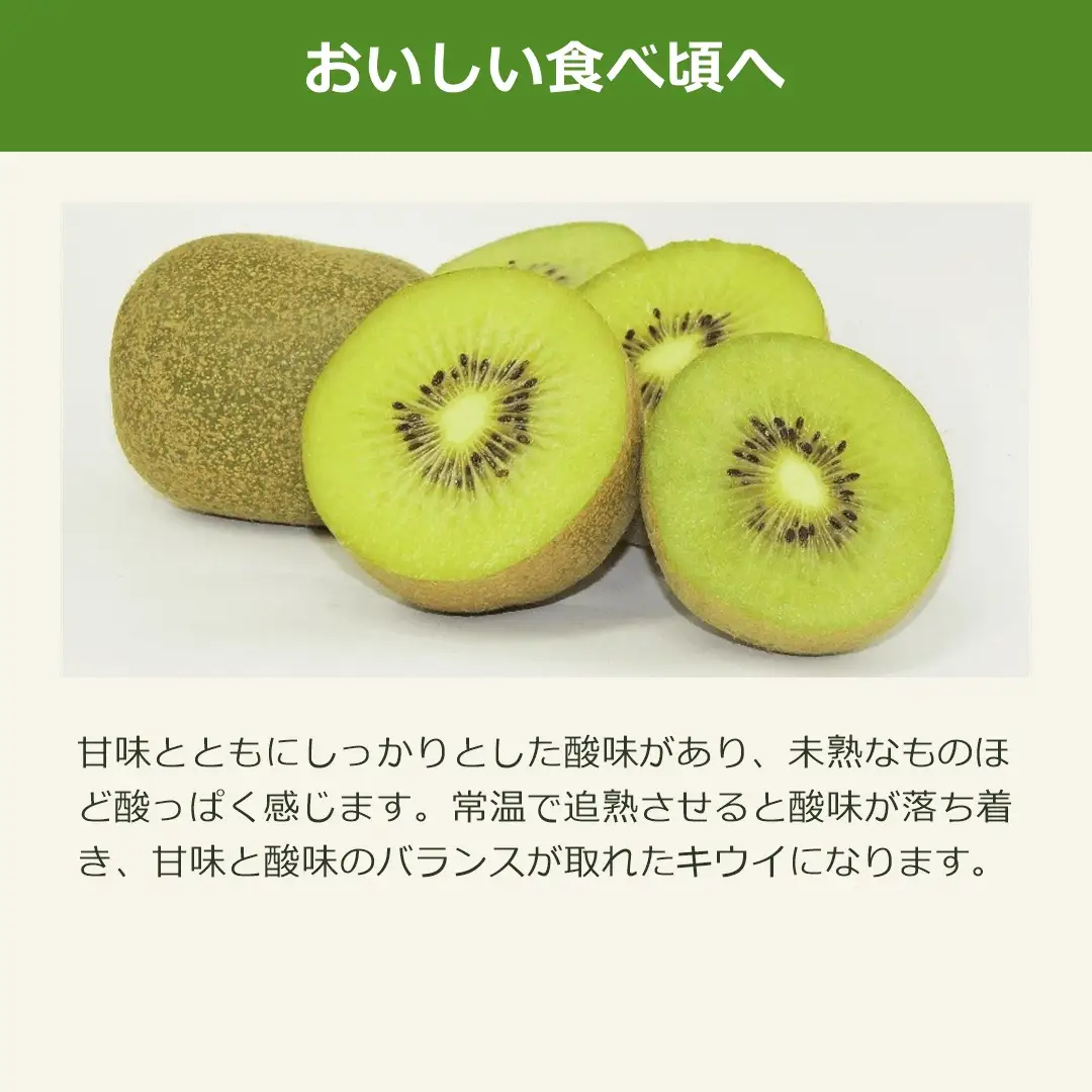 キウイフルーツ L 30玉 | 新潟県 佐渡市 キウイ