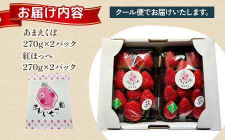 【 いちご 】 いちご 270g×4パック 紅ほっぺ あまえくぼ 食べ比べ