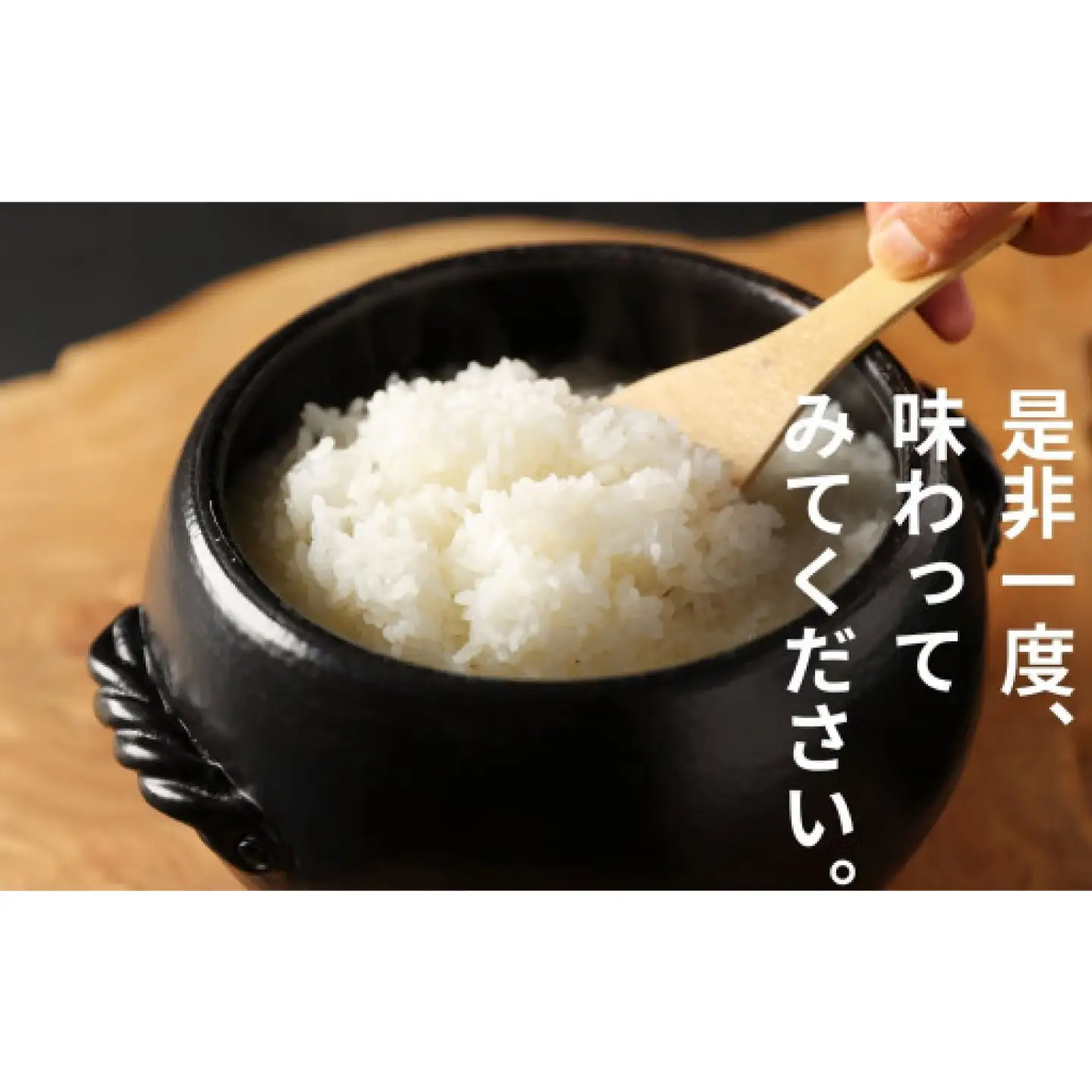 【3回定期便】令和7年度産コシヒカリ 「カモしゃん米」（玄米）5kg 【こしひかり お米 農家直送 無農薬 化学肥料不使用 精米 安心 安全 令和6年度産】