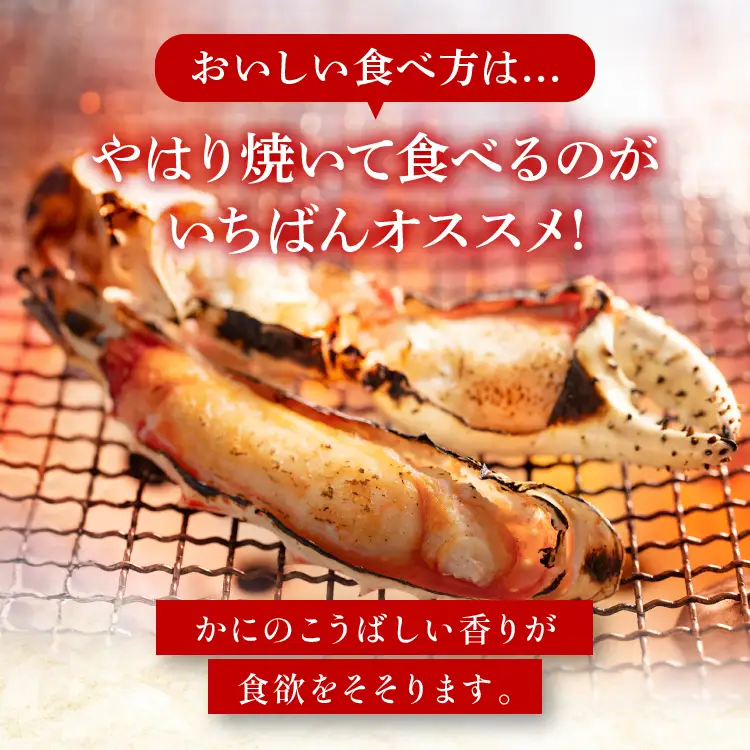 タラバ 脚 ボイル NET重量 600g 4L シュリンク 数量限定 キョクヨー たらばがに タラバガニ たらば蟹 カニ 蟹 肩 足 魚介 海鮮 極洋カニ鍋 焼きガニ_AR007