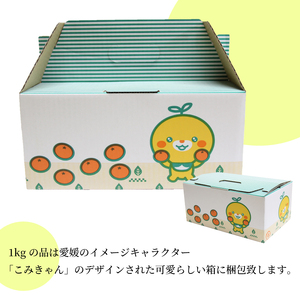 シャインマスカット 1kg 秀品 シャインマスカット 【SSK012】