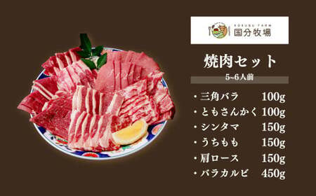 コエドビール 12本 & 牛焼き肉セット 1,100g (5~6人前)｜地ビール 国産牛