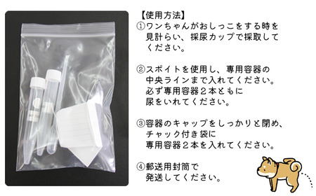 ワンちゃん 健康 診断 簡単 検査 キット 【東北病態研究所】／ ペット 犬 いぬ 健康診断 体調 体調管理 尿検査 尿 細胞 細胞診検査 自宅 郵送 検診 検診キット 検査キット 予防 病気予防 オススメ おすすめ