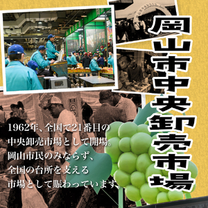 ZZ-18　【令和8年発送・先行予約】岡山県産　シャインマスカット（1房600g以上・晴王）2房　化粧箱入り
