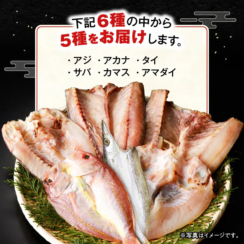 鹿児島 錦江湾 の ソフト 干物 5種 セット K295-001 魚 冷凍