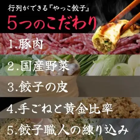 やっこ餃子【配送不可地域：離島】【1530592】