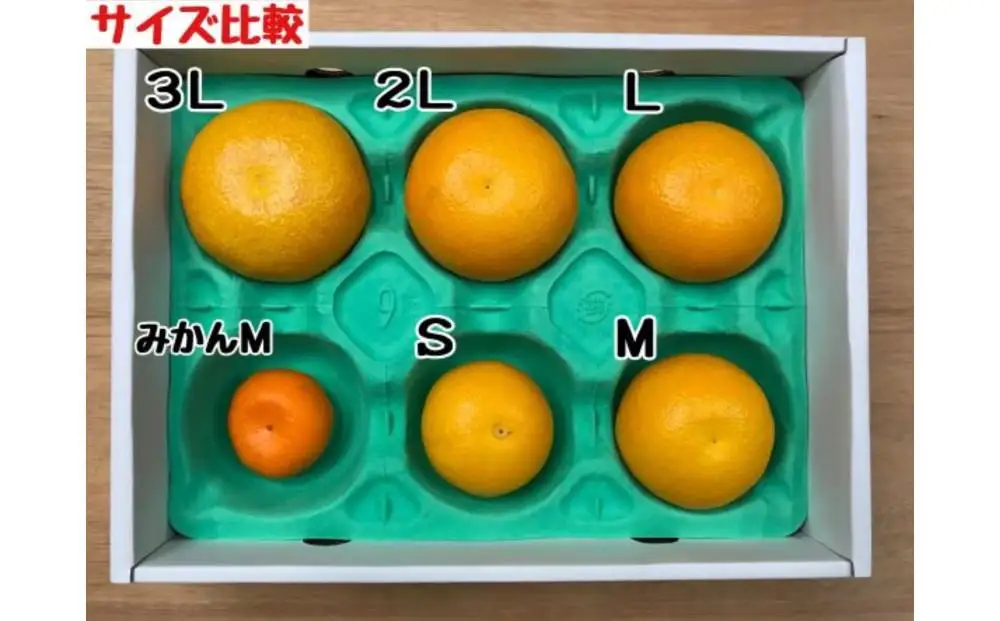 【ムッキー同梱】 ちょっと 傷あり 木成完熟 紅はっさく 2L ～ M ( 4玉 ～ 6玉 ) 手さげ箱 【2027年4月上旬～発送】